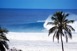 Small guy, big wave, at Tres Palmas.